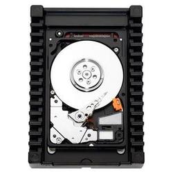 WESTERN DIGITAL Western Digital VelociRaptor Hard Drive - 74GB - 10000rpm - Serial ATA/300 - Serial ATA - Internal (WD740HLFS)