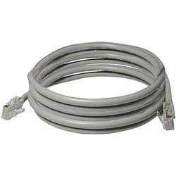 Petra Cat. 5E UTP Patch Cable - 1 x RJ-45 - 1 x RJ-45 - 14ft