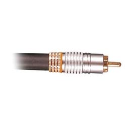 Philips USA Philips Coaxial Digital Audio Cable - 1 x RCA - 1 x RCA - 6ft