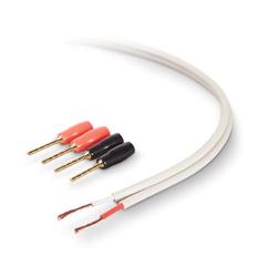 PureAV 16 Gauge Speaker Wire with Pins - 25 ft - White