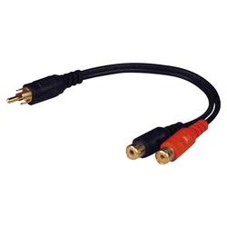 Pyramid RY6 1 Male to 2 Female RCA Adaptor