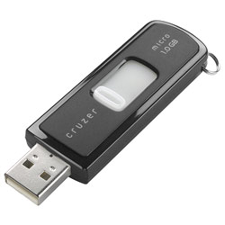 SanDisk 1GB Cruzer Micro USB Drive (High Speed)