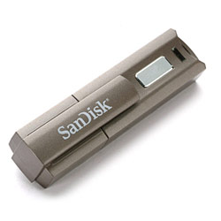 SanDisk Corporation SanDisk 2GB Cruzer Professional USB 2.0 Flash Drive w/ Ready Boost