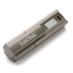 SanDisk Corporation SanDisk 4GB Cruzer Professional USB 2.0 Flash Drive w/ Ready Boost