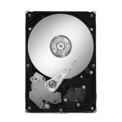 SEAGATE - SCSI Seagate Barracuda ES 750GB Internal Hard Drive 20pk - 7200rpm, 300MBps Serial ATA - II