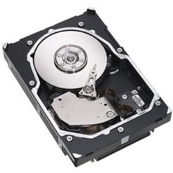 SEAGATE Seagate Cheetah 15K.3 Hard Drive - 73.4GB - 15000rpm - Ultra320 SCSI - SCSI - Internal (ST373453LC)