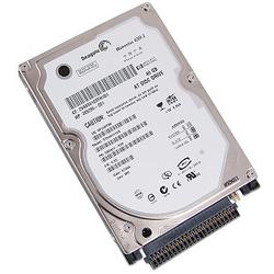 SEAGATE Seagate Momentus 4200.2 ATA Hard Drive - 40GB - 4200rpm - Ultra ATA/100 (ATA-6) - IDE/EIDE - Internal