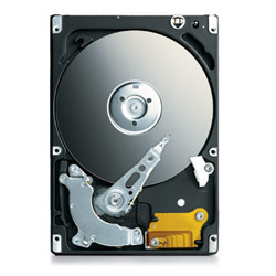 SEAGATE - MOBILE Seagate Momentus 5400.3 - 120GB Hard Drive Internal - 2.5IN - SATA