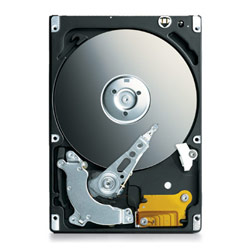 SEAGATE - MOBILE Seagate Momentus 5400.3 - Internal Hard Drive - 100GB, SATA - 2.5IN