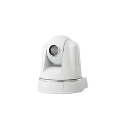 SONY SECURITY Sony SNC-RZ50N Multi Codec PTZ Network Camera - Color, Black & White - CCD - Cable