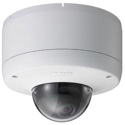 SONY SECURITY Sony SNCDF80N Rugged IP Minidome Camera - Color, Black & White - CCD - Cable