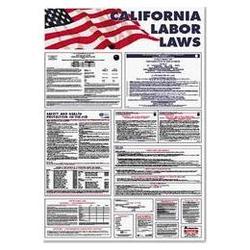 Advantus Corporation State/Federal Labor Law Poster Combo Pack, multi-colored (AVT83905)