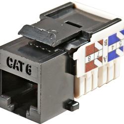 Steren Cat. 6 FastMedia RJ-45 Jack - Network Connector - RJ-45, 110-punchdown (310-140BK)