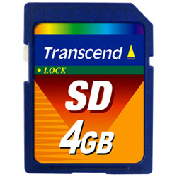 TRANSCEND INFORMATION Transcend 4GB Secure Digital Card (45x) - 4 GB