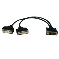 Tripp Lite DVI Dual Link Splitter Cable - 1 x DL DVI-D - 2 x DL DVI-D - 1ft - Black