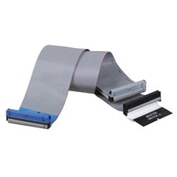 Tripp Lite EIDE Ribbon Cable - 2 x IDE - 1 x IDE - 24