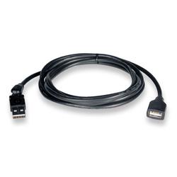 Tripp Lite USB Extension Cable - 1 x Type A USB - 1 x Type A USB - 10