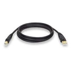 Tripp Lite USB Gold Cable - 1 x Type A - 1 x Type B USB - 15ft