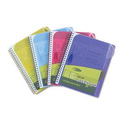Wilson Jones/Acco Brands Inc. View-Tab™ Student Notebook, 2-Tab, College Rule, 6 x 9,100 Sheets (WLJ55085)
