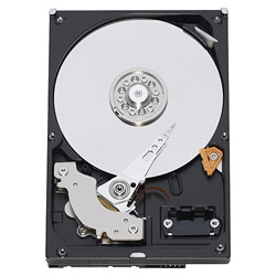 WESTERN DIGITAL Western Digital Caviar Green Desktop 1TB SATA 3Gb/s 16MB Cache Internal Hard Drive - OEM/Bare