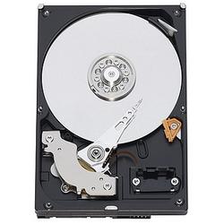 WESTERN DIGITAL Western Digital Caviar Green Desktop 750GB SATA 3Gb/s 16MB Cache Internal Hard Drive - OEM/Bare