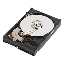 WESTERN DIGITAL Western Digital Caviar SE - 320GB - 7200rpm - Serial ATA/300 - Serial ATA - Internal Hard Drive - OEM