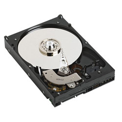 WESTERN DIGITAL Western Digital Caviar SE SATA - 500 GB, 300 MB/s, 8 MB Cache, 7200 RPM - Internal Hard Drive - OEM