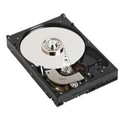 WESTERN DIGITAL Western Digital Caviar SE SATA Hard Drive - 250 GB, 300 MB/s, 8 MB Cache, 7200 RPM - Internal Hard Drive