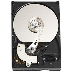 WESTERN DIGITAL Western Digital Caviar SE WD4000AAJB Hard Drive - 400GB - 7200rpm - IDE/EIDE - Internal (WD4000AAJB-20PK)