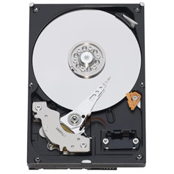 WESTERN DIGITAL Western Digital Caviar SE16 - 400 GB, 300 MB/s, 16 MB Cache, 7200 RPM - SATA - Internal Hard Drive