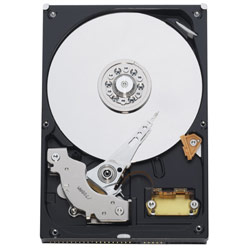 WESTERN DIGITAL Western Digital Caviar SE16 Hard Drive - 500 GB, 3.5 , EIDE, 100 MB/s, 7200 RPM - Internal Hard Drive