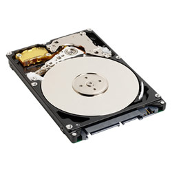 WESTERN DIGITAL - RETAIL Western Digital Scorpio 160GB 2.5-inch 8MB Cache SATA Internal Hard Drive