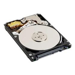 WESTERN DIGITAL Western Digital Scorpio Mobile Hard Drive - 120GB - 5400rpm - Serial ATA/150 - Serial ATA - Internal (WD1200BEVS)