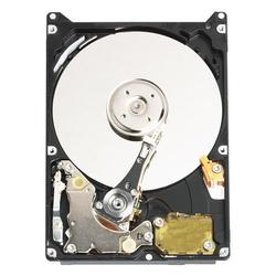 WESTERN DIGITAL Western Digital Scorpio Mobile Hard Drive - 40GB - 5400rpm - Serial ATA/150 - Serial ATA - Internal (WD400BEVS-50PK)