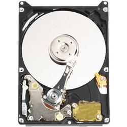 WESTERN DIGITAL Western Digital Scorpio WD2500BEVE Hard Drive - 250GB - 5400rpm - Ultra ATA/100 (ATA-6) - IDE/EIDE - Plug-in Module