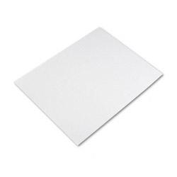 Riverside Paper White Poster Board, Four-Ply, 22 x 28, 25 Boards/Carton (RIV04159)