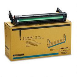 Xerox Corporation Xerox Cyan Imaging Unit For Phaser 7300 Printer - 30000 Page