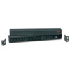 American Power Conversion 12-Outlet Basic Rack PDU