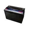 American Power Conversion 12 V Premium Gel Battery