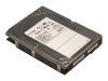 Seagate 146 GB 10,000 RPM Cheetah 10k.6 Fibre Channel Hard Drive