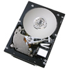 Hitachi 147 GB 10,025 RPM Ultrastar 10K300 Ultra320 SCSI Internal Hard Drive