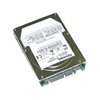 CMS Products 160 GB 5400 RPM Easy-Plug Easy-Go Serial ATA Internal Hard Drive for Notebooks