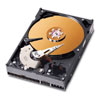 Western Digital 160 GB 7200 RPM Caviar EIDE Internal Hard Drive
