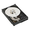 DELL 250 GB 7200 RPM Serial ATA Internal Hard Drive for Dell PowerEdge Select SC Series/ 830/ 850/ 1800 Servers