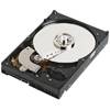 DELL 250 GB 7200 RPM Serial ATA Internal Hard Drive for OptiPlex GX620 / GX620 USFF / GX520 / 740 DT/ MT / 745 DT/ MT / SFF / USFF / Dimension 5150/ E510 / Precision