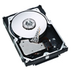 Seagate 300 GB 10,000 RPM Cheetah 10K.7 Ultra320 SCSI Internal Hard Drive