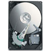 Seagate 300 GB 7200 RPM Barracuda 7200.9 Parallel ATA Internal Hard Drive