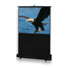 Draper 46-inch Traveller HDTV Projector Screen