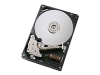 Hitachi 500 GB 7200 RPM Deskstar 7K500 ATA-133 Internal Hard Drive