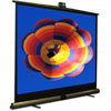 Screen Innovations 60-inch TMS60 Mobile Sensation Series Projection Screen